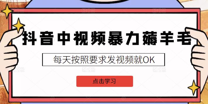 2022抖音中视频暴力薅羊毛白嫖项目：新号每天20块，老号几天几百块，可多号￼-小鹏项目网