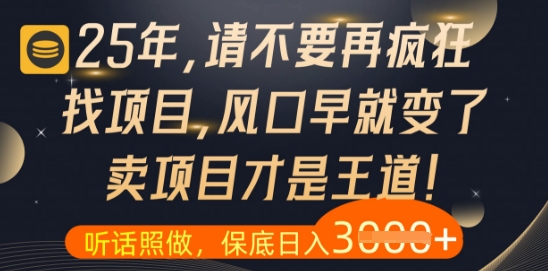 什么？25年你还在疯狂找项目做，醒醒吧，看完这些你全都懂了【揭秘】-小鹏项目网