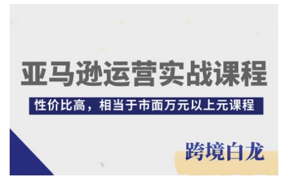 亚马逊运营实战课程，亚马逊从入门到精通，性价比高，相当于市面万元以上元课程-小鹏项目网