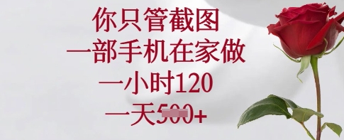 你只管截图，一部手机在家做，一小时120.一天5张【揭秘】-小鹏项目网