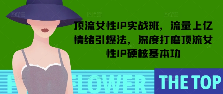 顶流女性IP实战班，流量上亿情绪引爆法，深度打磨顶流女性IP硬核基本功-小鹏项目网