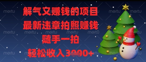 解气又挣钱的项目，最新违章拍照挣钱，随手一拍，轻松收入多张【揭秘】-小鹏项目网