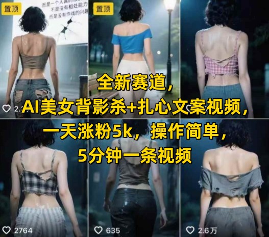 全新赛道，AI美女背影杀+扎心文案视频，一天涨粉5k，操作简单，5分钟一条视频-小鹏项目网