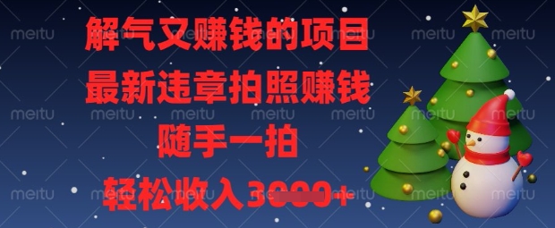 解气又挣钱的项目，最新违章拍照挣钱，随手一拍，轻松收入数张【揭秘】-小鹏项目网