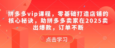 拼多多vip课程，零基础打造店铺的核心秘诀，助拼多多卖家在2025卖出爆款，订单不断-小鹏项目网