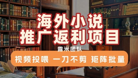海外小说推广返利项目，视频投喂， 一刀不剪，矩阵批量-小鹏项目网