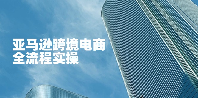 亚马逊跨境电商全流程实操，教你从零开始，掌握店铺运营与广告技巧-小鹏项目网