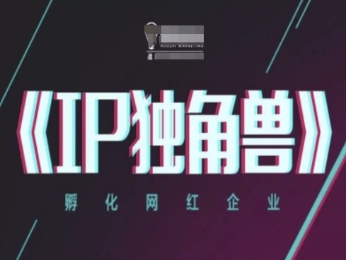 IP独角兽，孵化网红企业，ip教程-小鹏项目网