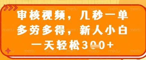 审核视频，几秒一单，多劳多得，新人小白一天轻松3张【揭秘】-小鹏项目网