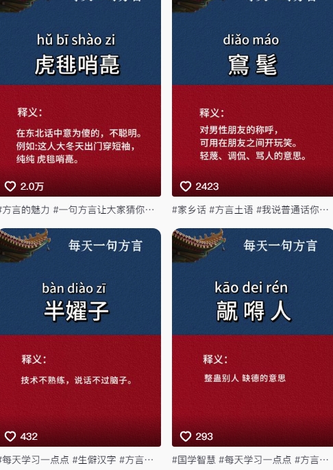 抖音最新涨粉玩法，图文方言暴力涨粉实操，126作品涨粉11W-小鹏项目网