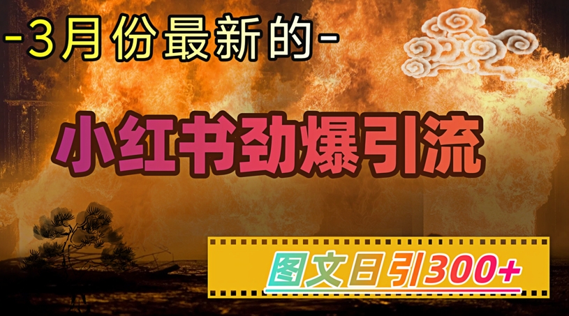 小红书超劲爆引流手段，图文日引300+轻松变现1W-小鹏项目网