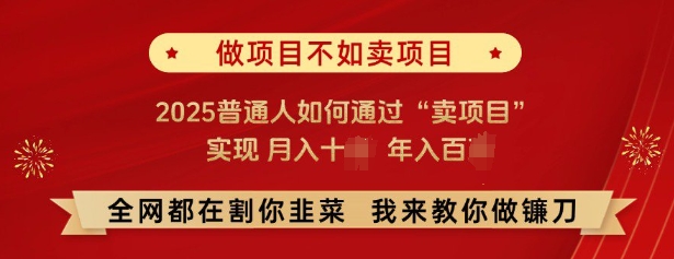 必看，做项目不如卖项目，2025普通人如何通过“卖项目”实现月入十个，年入百个-小鹏项目网
