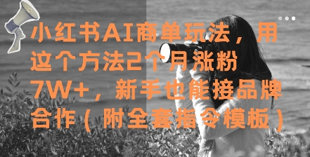 小红书AI商单玩法，用这个方法2个月涨粉7W+，新手也能接品牌合作(附全套指令模板)-小鹏项目网
