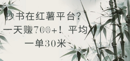 抄书在小红薯平台？平均一单30米，一天收益几张！-小鹏项目网
