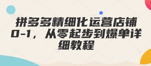 拼多多精细化运营店铺0-1，从零起步到爆单详细教程-小鹏项目网