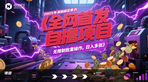 全网首发，2025年最新稳定暴力全自动自撸项目，无限制批量操作，日入多张【揭秘】-小鹏项目网