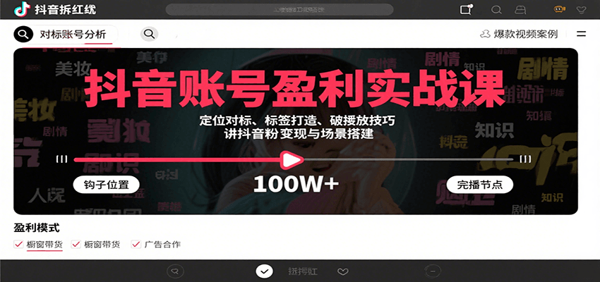 抖音账号盈利实战课，定位对标、标签打造、破播放技巧，讲涨粉变现与场景搭建-小鹏项目网