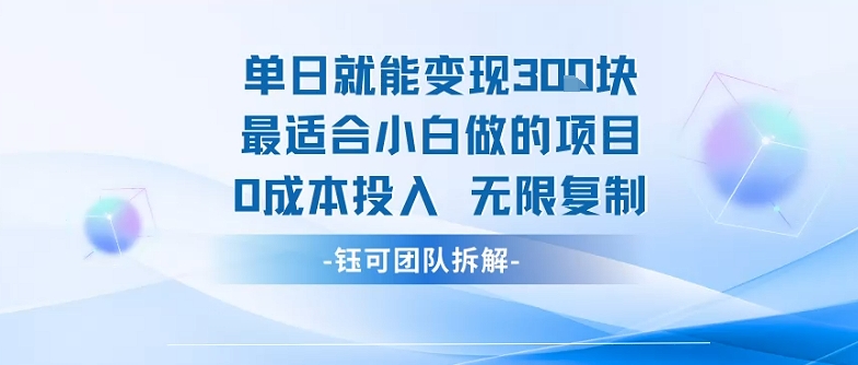 单日就能变现3张最适合小白做的项目0成本投入 无限复制-小鹏项目网
