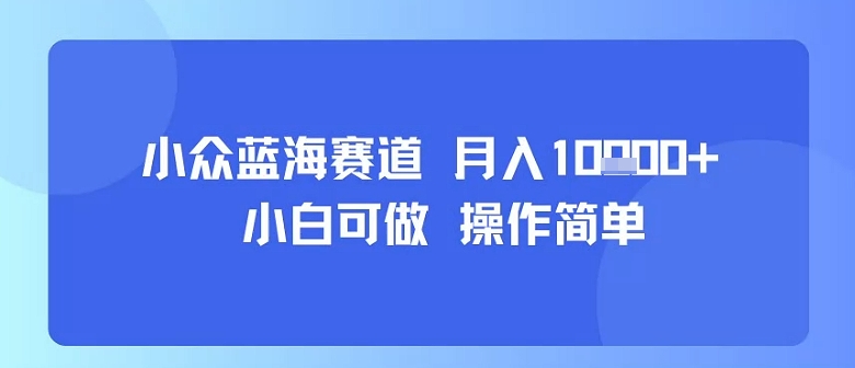 小众蓝海赛道，小白可做，操作简单，每天30分钟，月入1W+-小鹏项目网
