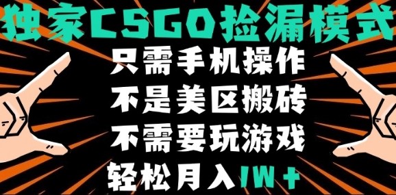CSGO自动捡漏项目，最新独家玩法，不是美区搬砖，不需要了解和玩游戏，新手小白轻松月入1W+【揭秘】-小鹏项目网