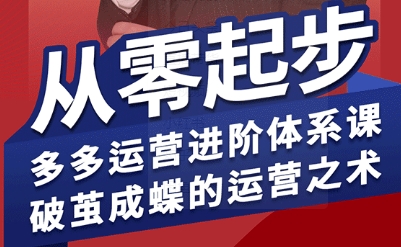 拼多多运营进阶系统课，从零起步，多多运营进阶体系课，破茧成蝶的运营之术-小鹏项目网