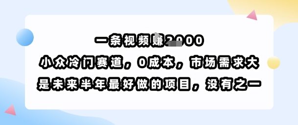一条视频挣1k，小众冷门赛道，0成本，市场需求大，是未来半年最好做的项目，没有之一-小鹏项目网