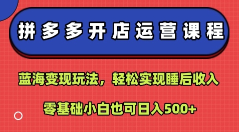 拼多多开店运营课程：蓝海变现玩法，轻松实现睡后收入，零基础小白也可日入5张-小鹏项目网