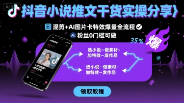 抖音小说推文干货实操分享，混剪+AI图片卡特效爆量全流程，0粉丝0门槛可做-小鹏项目网