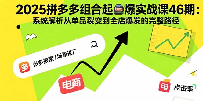 2025拼多多组合起爆实战课46期：系统解析从单品裂变到全店爆发的完整路径-小鹏项目网
