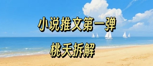 小说推文项目操作全流程第一弹，0粉就能做，门槛低非常适合新手-小鹏项目网