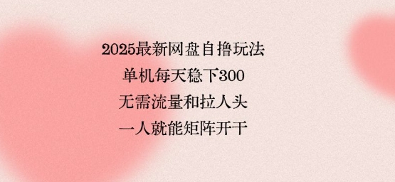 2025最新网盘自撸玩法，单机每天稳下3张，无需流量和拉人头，一个人就可轻松矩阵，全网独一份【揭秘】-小鹏项目网