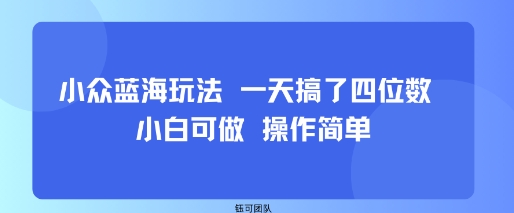 小众蓝海玩法 一天搞了四位数 小白可做 操作简单-小鹏项目网
