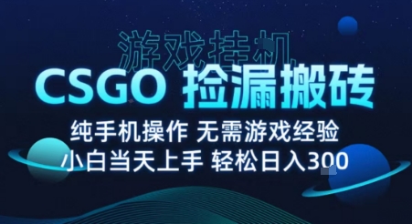 8月最新游戏搬砖，CSGO纯挂G，不需要玩游戏，实现真挂G，月入1W+【揭秘】-小鹏项目网