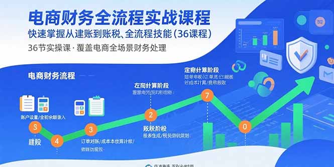 电商财务全流程实战课程：快速掌握从建账到报税的全流程技能(36节课-小鹏项目网