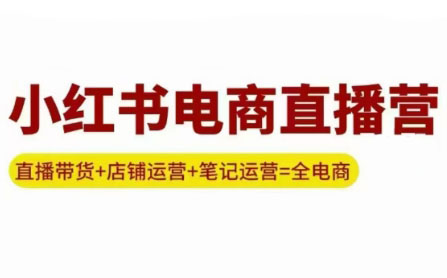 申铭老师·小红书电商直播营(更新)-小鹏项目网