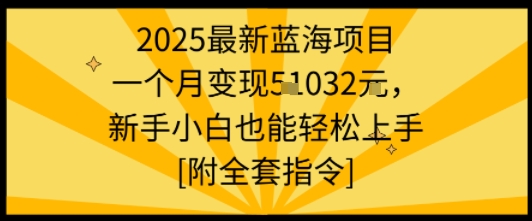 2025最新蓝海项目一个月变现1w+新手小白也能轻松上手【附全套指令】-小鹏项目网