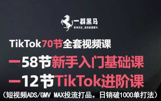 TikTok全套视频课，新手入门+进阶课，短视频ADS-GMV MAX投流打品，日销破1000单打法-小鹏项目网