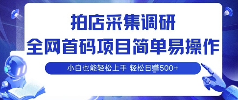 拍店采集调研，全网首码项目，简单易操作， 小白也能轻松上手，多账号操作，轻松日入5张【揭秘】-小鹏项目网