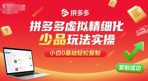 拼多多虚拟精细化少品玩法实操，小白0基础轻松复制-小鹏项目网