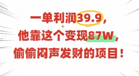 一单利润39.9，有人靠这个变现几十个，偷偷闷声发财的项目-小鹏项目网