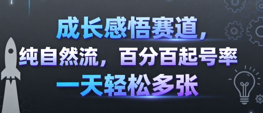 成长感悟赛道，纯自然流，百分百起号率 一天轻松多张-小鹏项目网