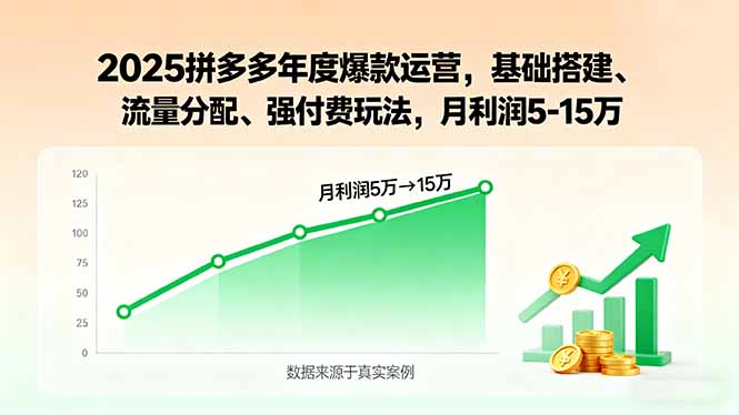 2025拼多多年度爆款运营，基础搭建、流量分配、强付费玩法，月利润5-15万-小鹏项目网