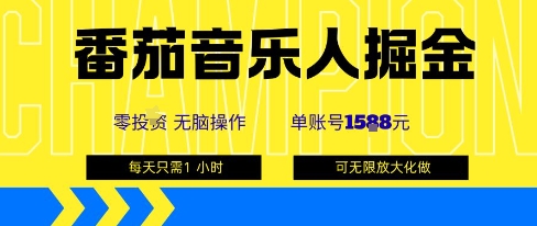 番茄音乐人掘金，单账号最高可撸1k+，可无限矩阵去做，零投入-小鹏项目网
