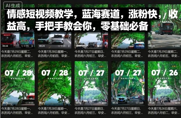 情感短视频教学，蓝海赛道，涨粉快，收益高，手把手教会你，零基础必备-小鹏项目网
