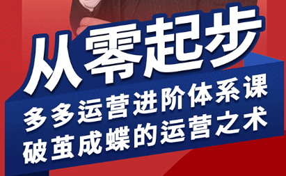 海神·拼多多运营进阶系统课(更新9月)-小鹏项目网
