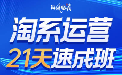 白凤电商·淘系运营21天速成班(更新9月)-小鹏项目网
