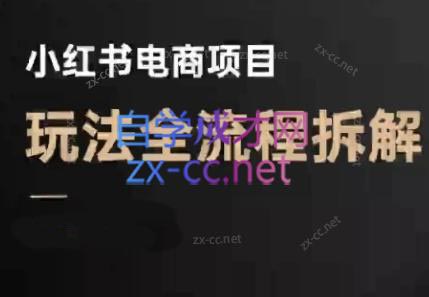 菲菲老师·小红书电商玩法(更新9月)-小鹏项目网