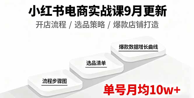 小红书电商实战课9月更新，开店流程/选品策略/爆款店铺打造，单号月均10w+-小鹏项目网