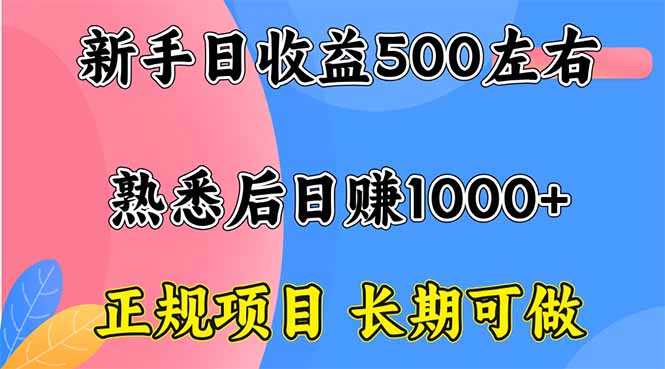 新手日收益500+ 正规项目 长期可做-小鹏项目网