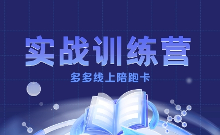 多多实战训练营，从0到1打造一个真正賺钱的店铺-小鹏项目网